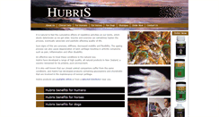 Desktop Screenshot of hubrisintl.com