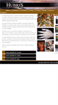 Mobile Screenshot of hubrisintl.com