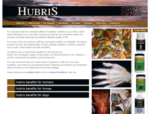 Tablet Screenshot of hubrisintl.com